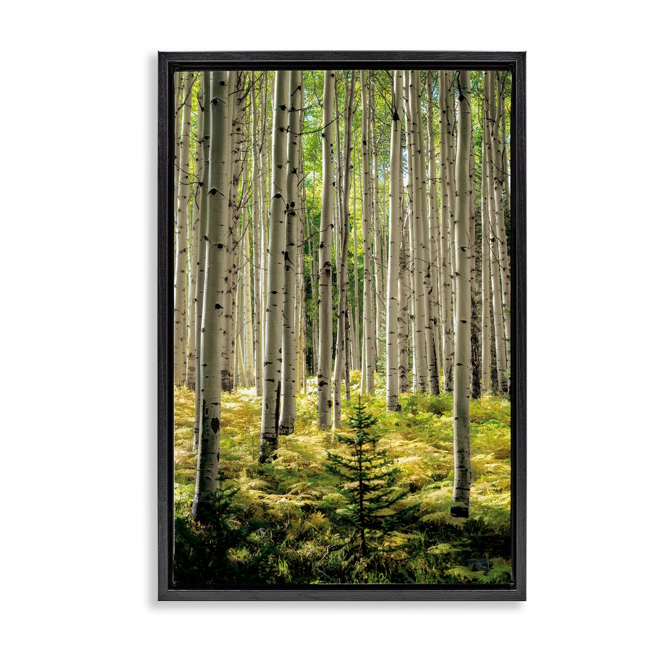 Stupell Industries Small And Tall Birch Forest Floating Frame, design by D. Burt